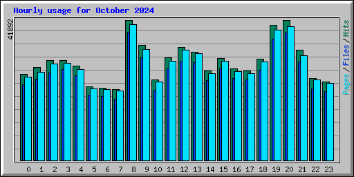 Hourly usage for October 2024