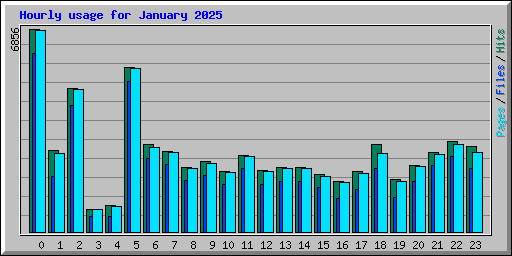 Hourly usage for January 2025